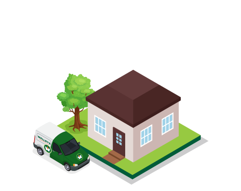 product-houses_starter-transparent